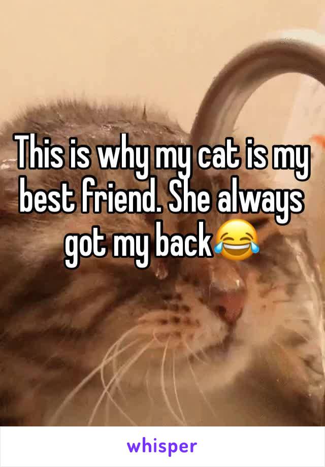 This is why my cat is my best friend. She always got my back😂