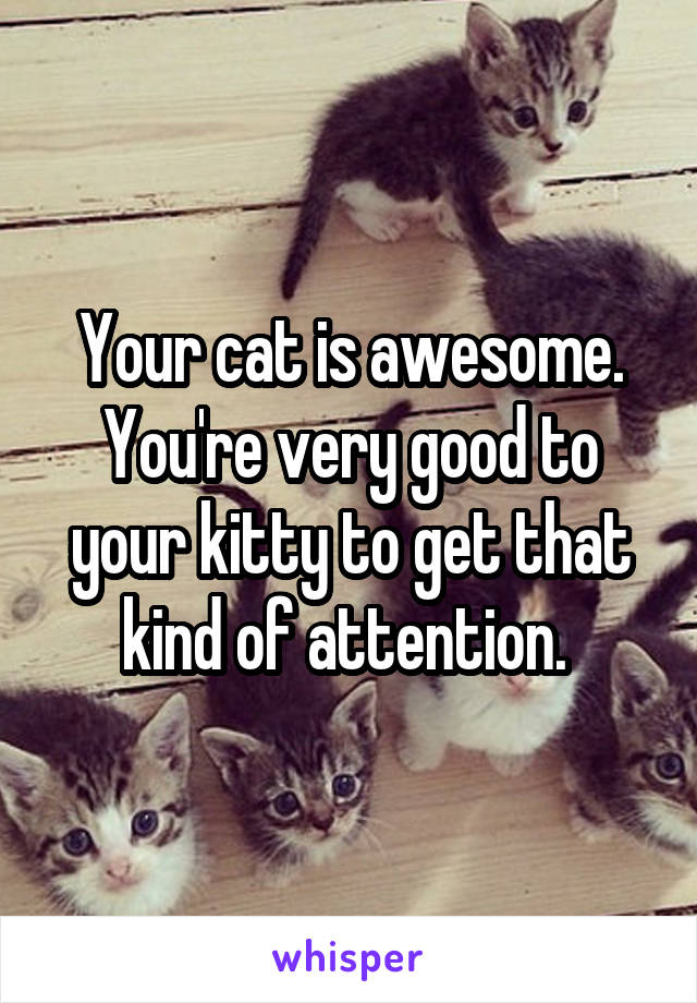 Your cat is awesome. You're very good to your kitty to get that kind of attention. 