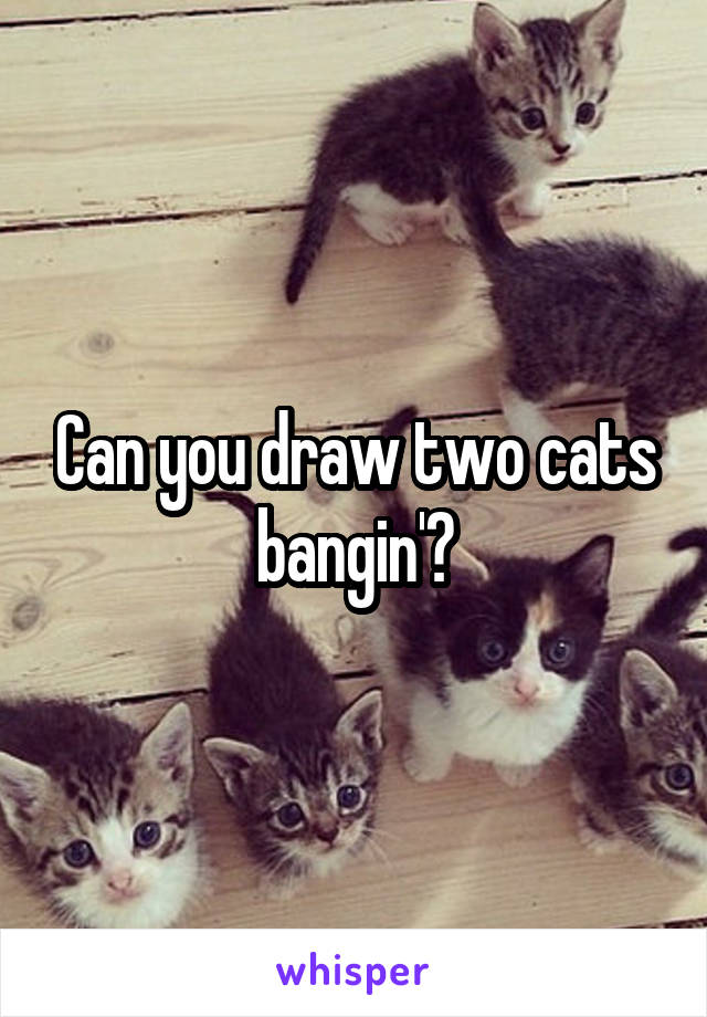 Can you draw two cats bangin'?