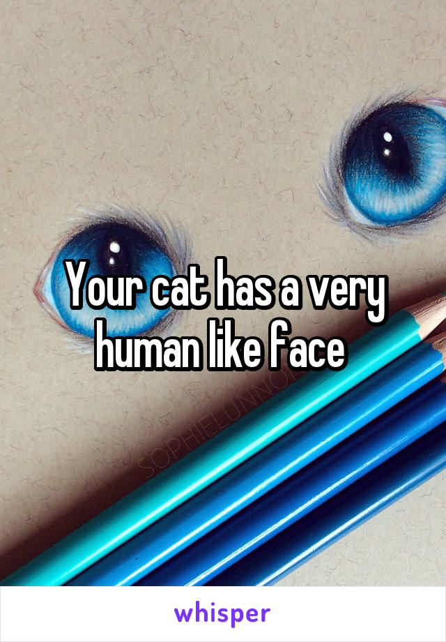 Your cat has a very human like face 