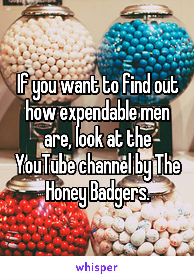 If you want to find out how expendable men are, look at the YouTube channel by The Honey Badgers.