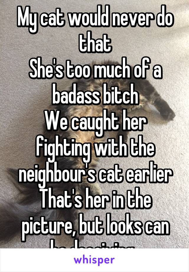 My cat would never do that
She's too much of a badass bitch
We caught her fighting with the neighbour's cat earlier
That's her in the picture, but looks can be deceiving..