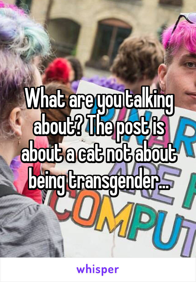 What are you talking about? The post is about a cat not about being transgender...