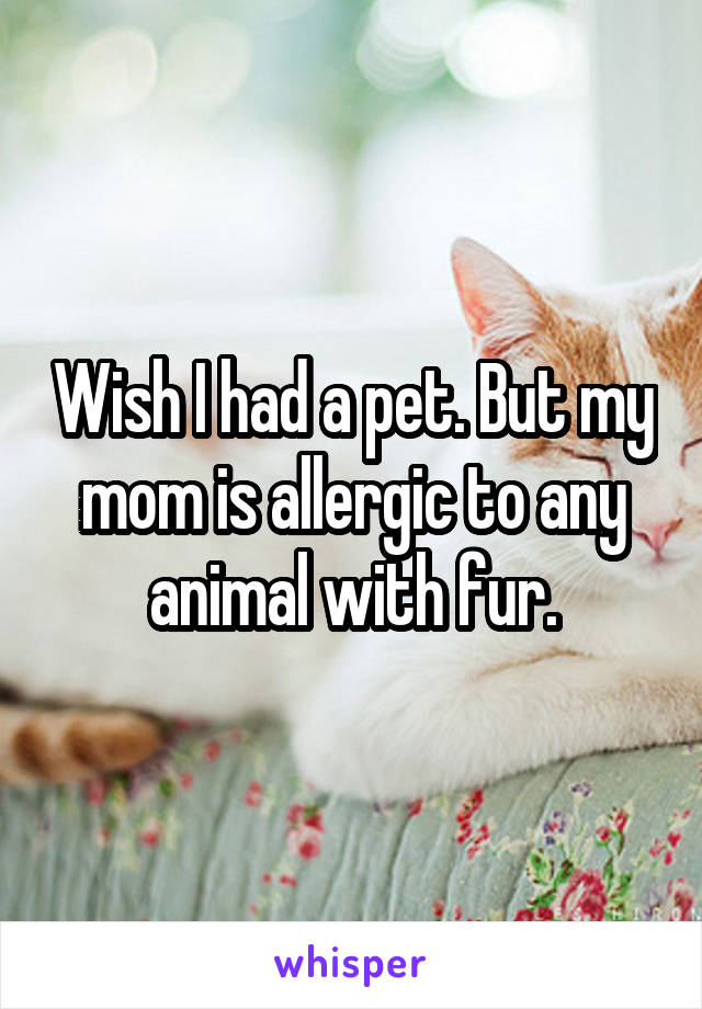 Wish I had a pet. But my mom is allergic to any animal with fur.