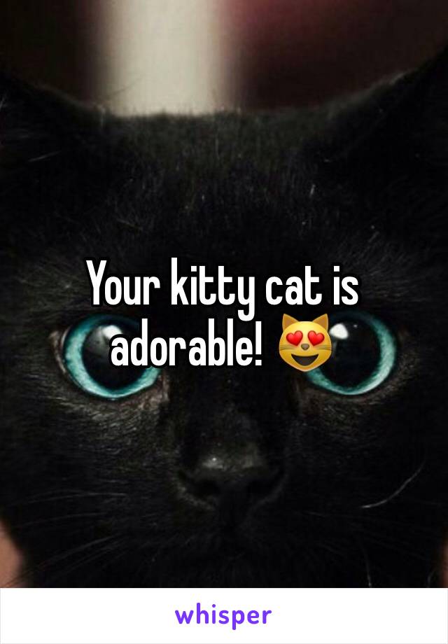 Your kitty cat is adorable! 😻