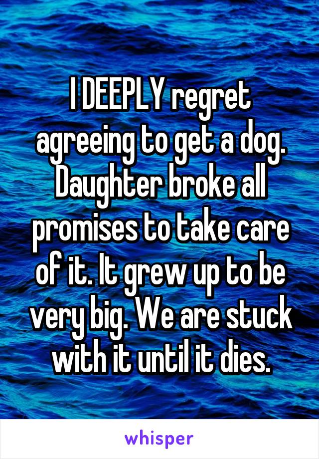 I DEEPLY regret agreeing to get a dog. Daughter broke all promises to take care of it. It grew up to be very big. We are stuck with it until it dies.