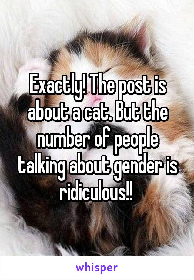 Exactly! The post is about a cat. But the number of people talking about gender is ridiculous!! 