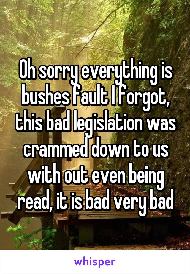 Oh sorry everything is bushes fault I forgot, this bad legislation was crammed down to us with out even being read, it is bad very bad