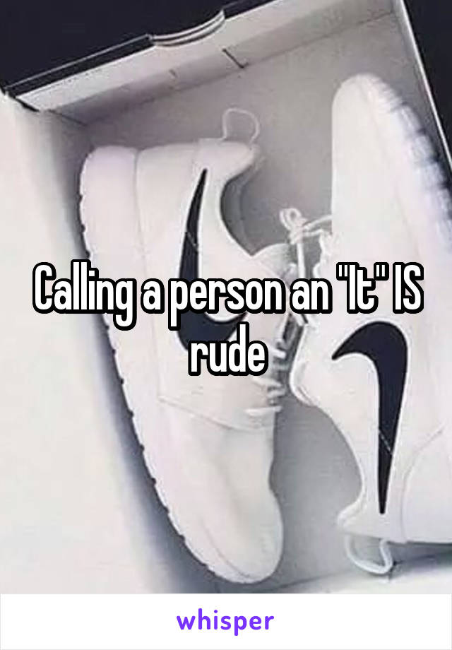 Calling a person an "It" IS rude