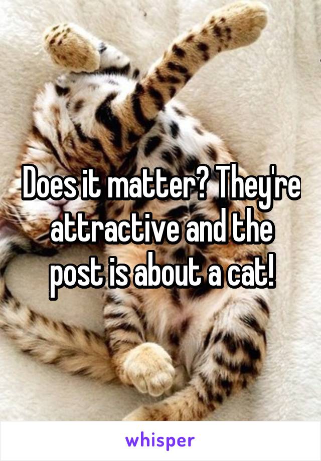 Does it matter? They're attractive and the post is about a cat!