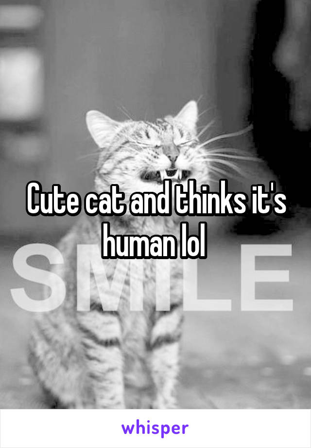 Cute cat and thinks it's human lol 