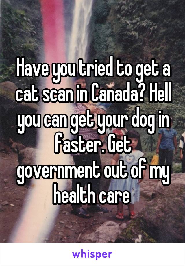 Have you tried to get a cat scan in Canada? Hell you can get your dog in faster. Get government out of my health care 