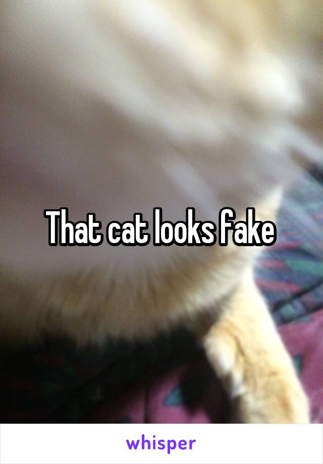 That cat looks fake 