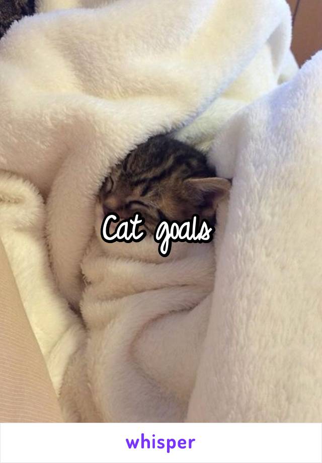 Cat goals 