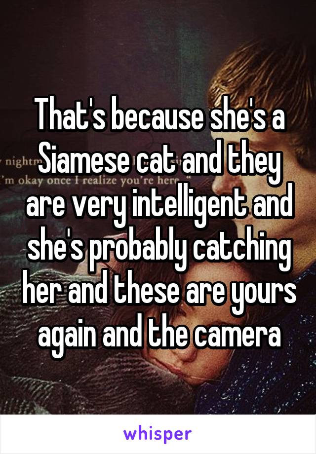 That's because she's a Siamese cat and they are very intelligent and she's probably catching her and these are yours again and the camera