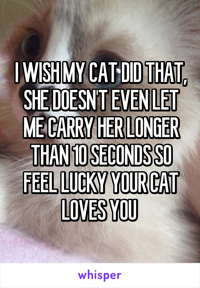 I WISH MY CAT DID THAT, SHE DOESN'T EVEN LET ME CARRY HER LONGER THAN 10 SECONDS SO FEEL LUCKY YOUR CAT LOVES YOU 