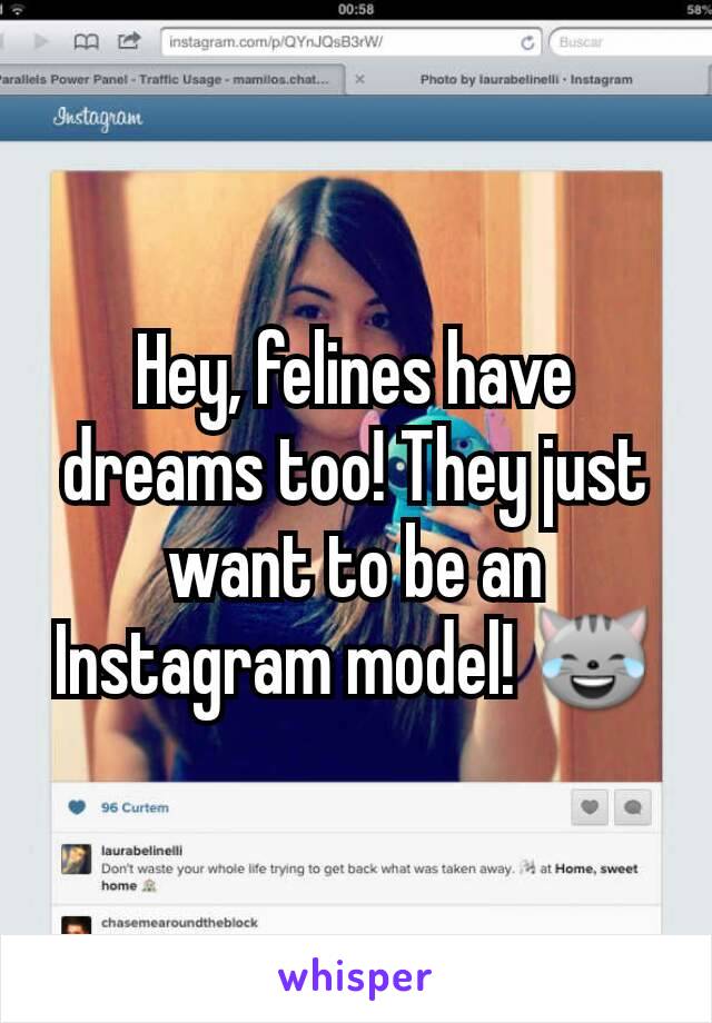 Hey, felines have dreams too! They just want to be an Instagram model! 😹