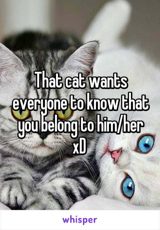 That cat wants everyone to know that you belong to him/her xD 