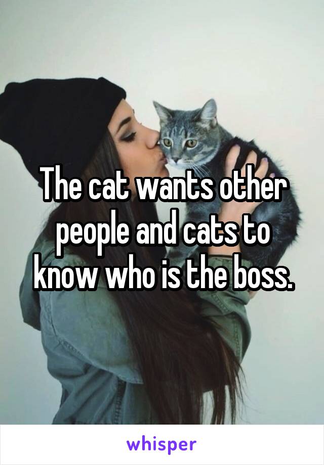 The cat wants other people and cats to know who is the boss.