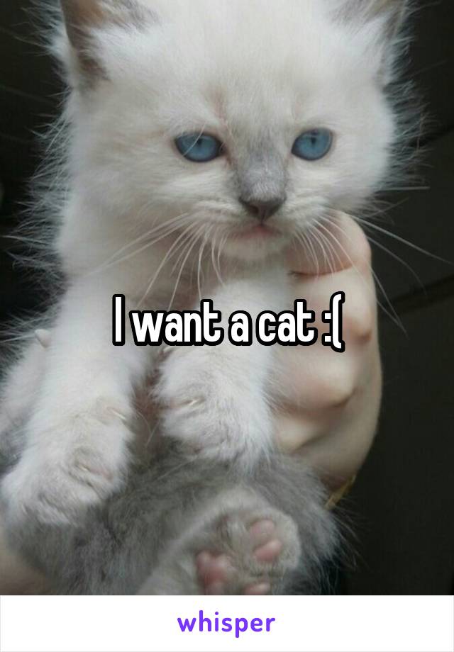 I want a cat :(