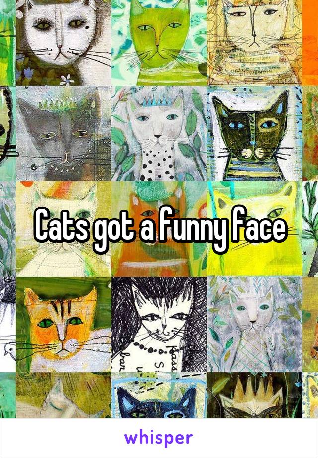 Cats got a funny face