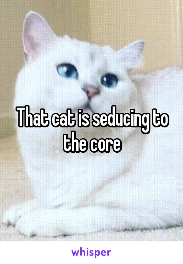 That cat is seducing to the core