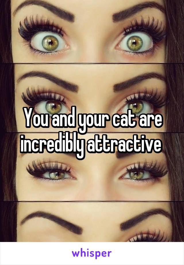 You and your cat are incredibly attractive 