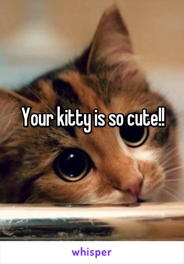 Your kitty is so cute!!
