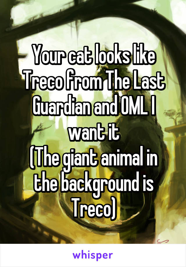 Your cat looks like Treco from The Last Guardian and OML I want it
(The giant animal in the background is Treco)