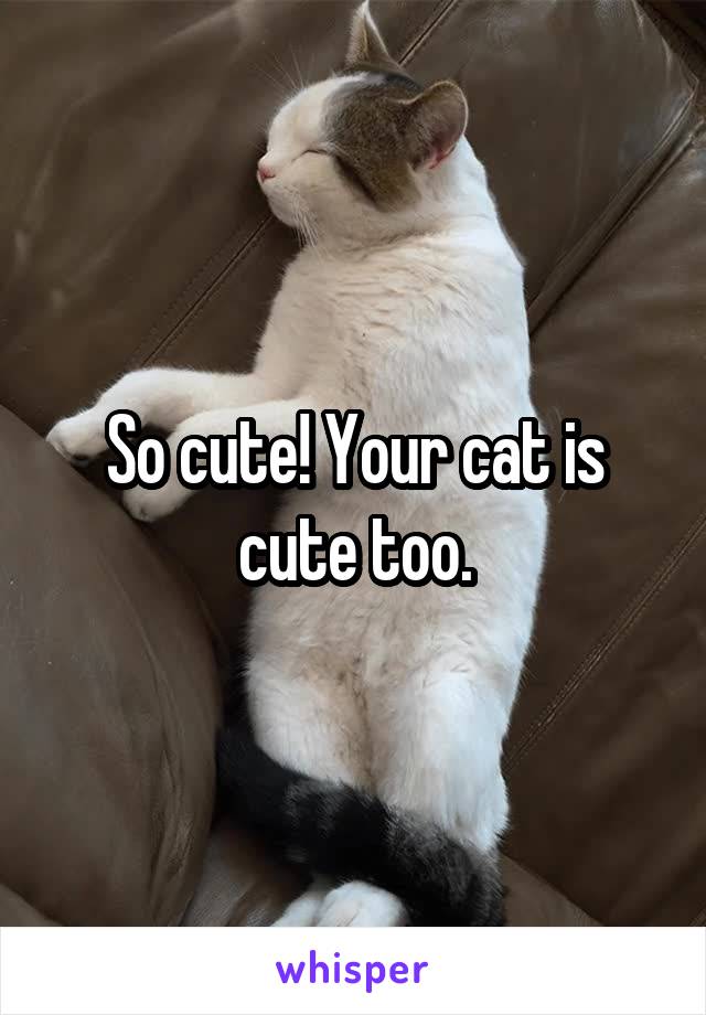 So cute! Your cat is cute too.