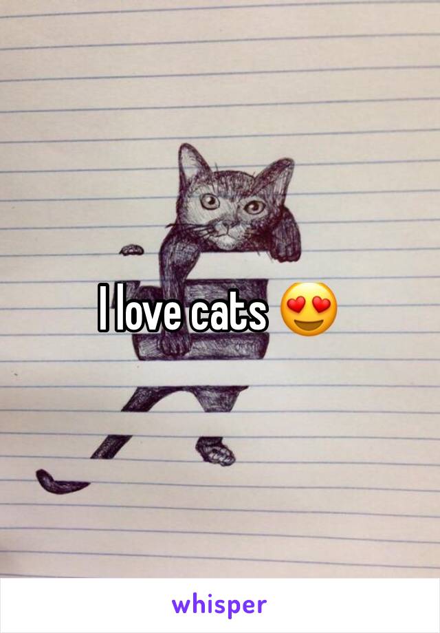 I love cats 😍