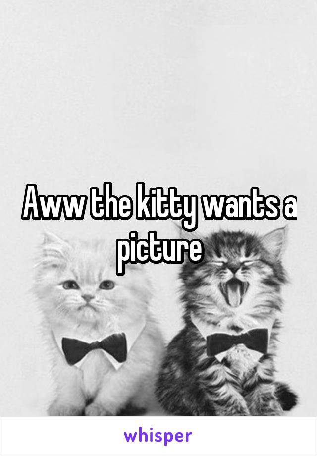 Aww the kitty wants a picture