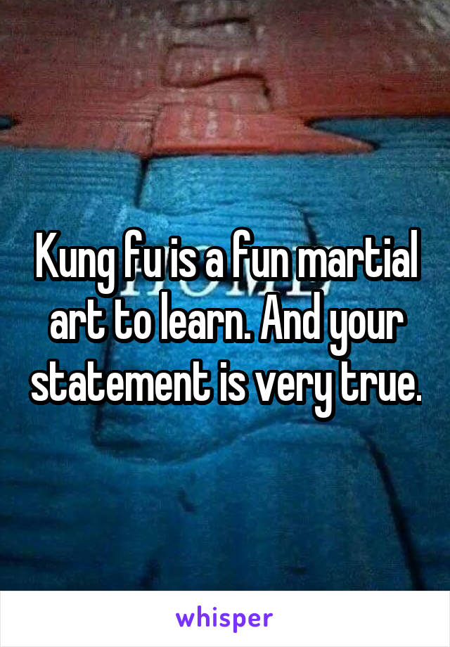 Kung fu is a fun martial art to learn. And your statement is very true.
