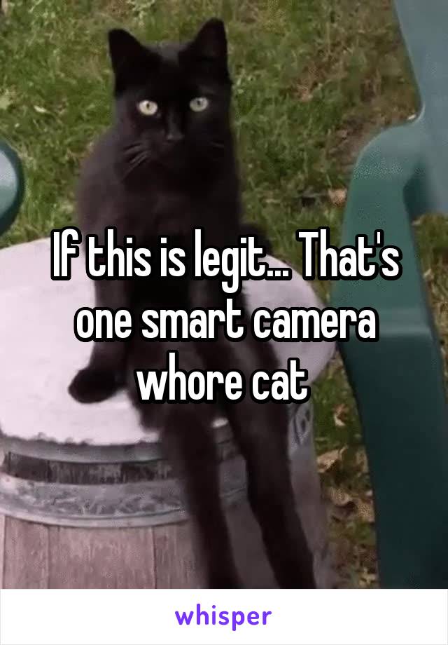 If this is legit... That's one smart camera whore cat 