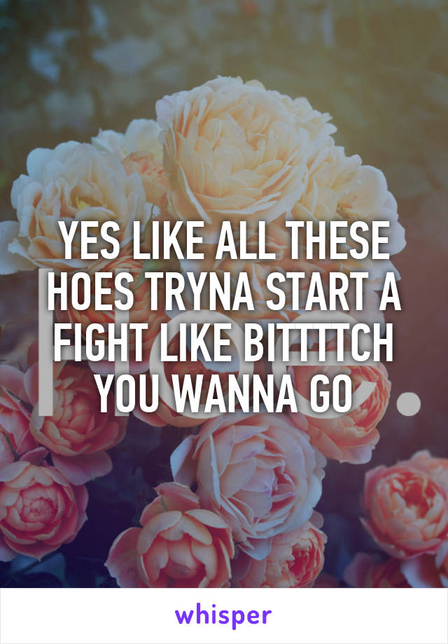 YES LIKE ALL THESE HOES TRYNA START A FIGHT LIKE BITTTTCH YOU WANNA GO