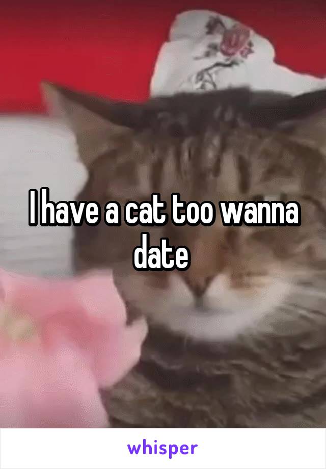 I have a cat too wanna date 