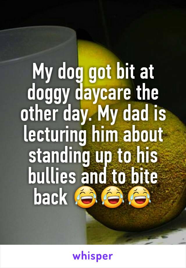 My dog got bit at doggy daycare the other day. My dad is lecturing him about standing up to his bullies and to bite back 😂😂😂