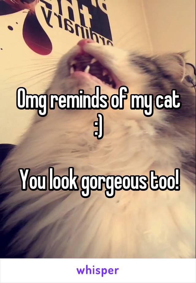 Omg reminds of my cat :)

You look gorgeous too!