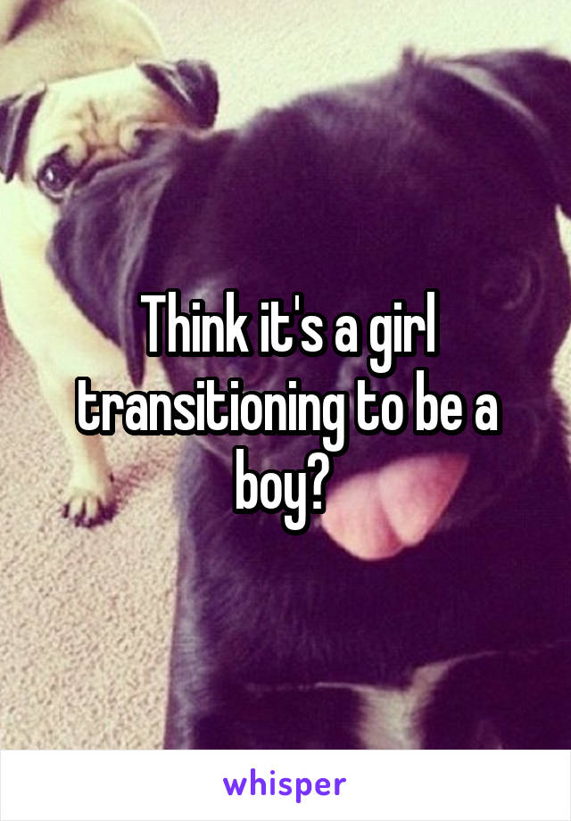 Think it's a girl transitioning to be a boy? 