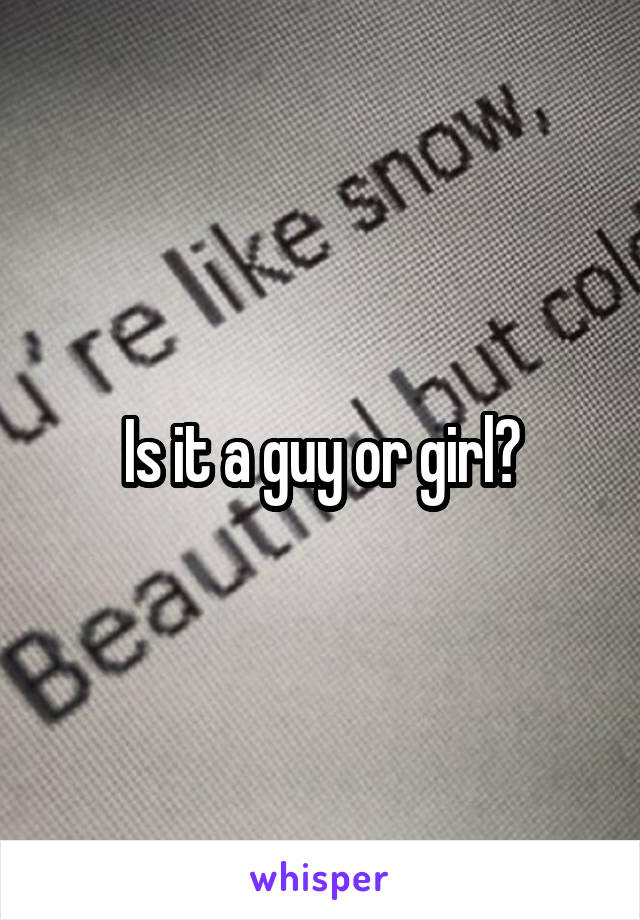 Is it a guy or girl?