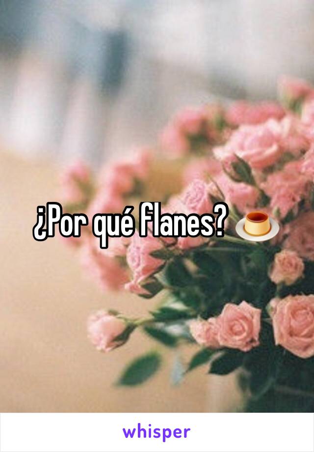 ¿Por qué flanes? 🍮