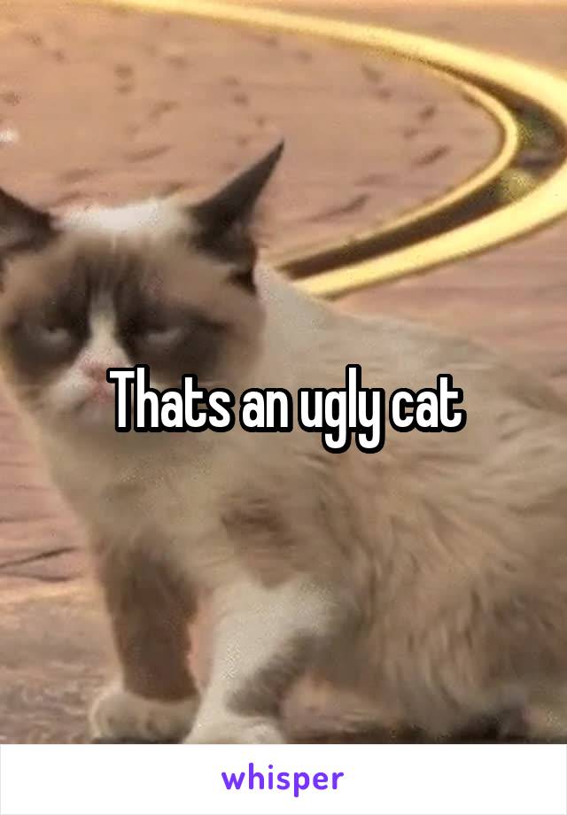 Thats an ugly cat