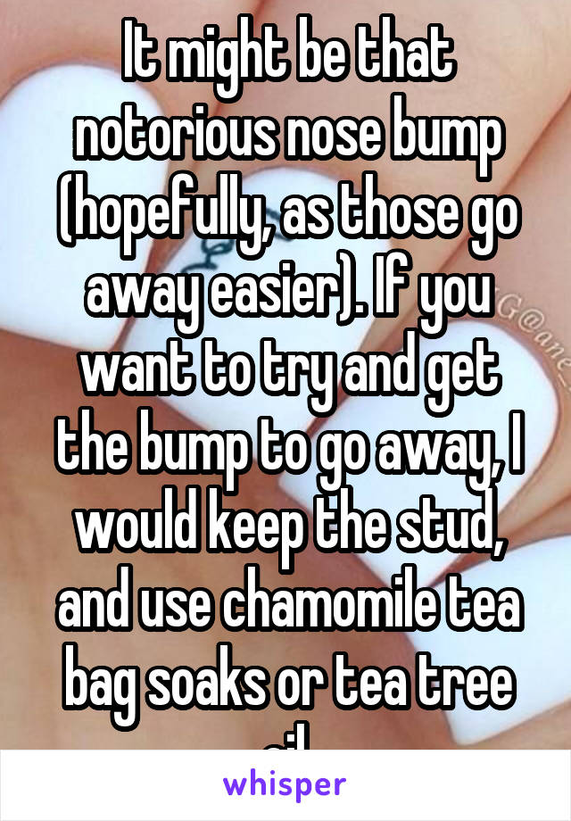 It might be that notorious nose bump (hopefully, as those go away easier). If you want to try and get the bump to go away, I would keep the stud, and use chamomile tea bag soaks or tea tree oil.