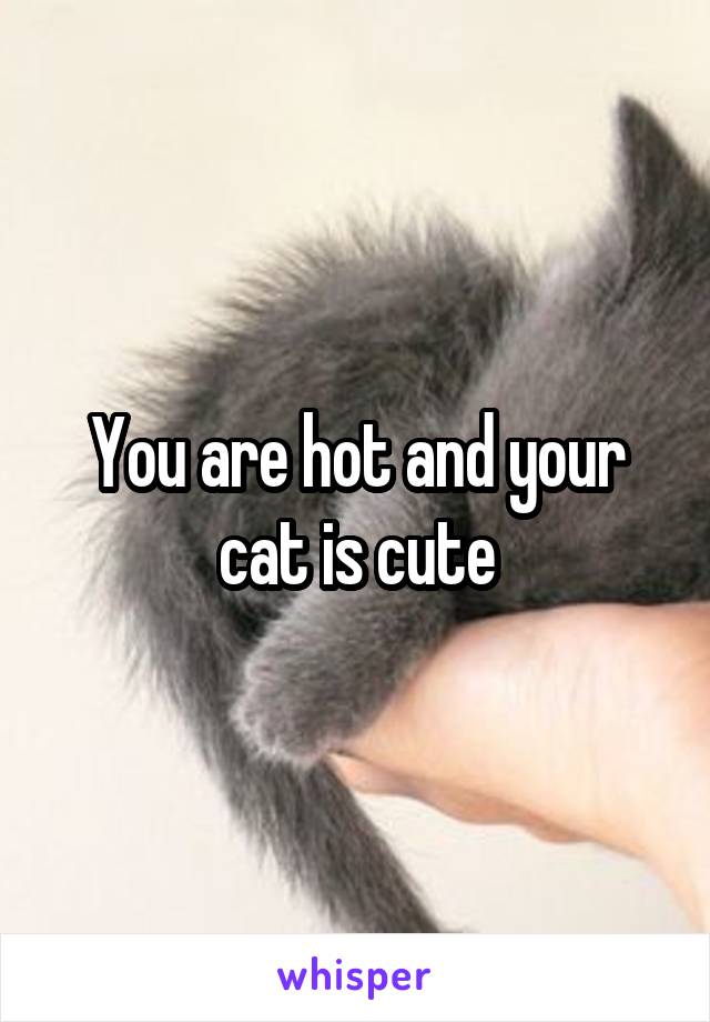 You are hot and your cat is cute