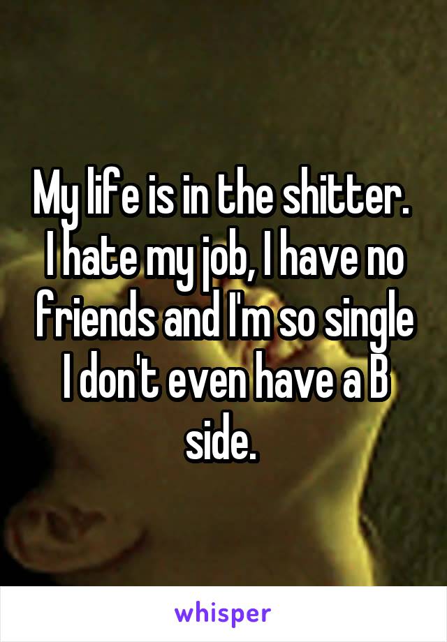 My life is in the shitter. 
I hate my job, I have no friends and I'm so single I don't even have a B side. 