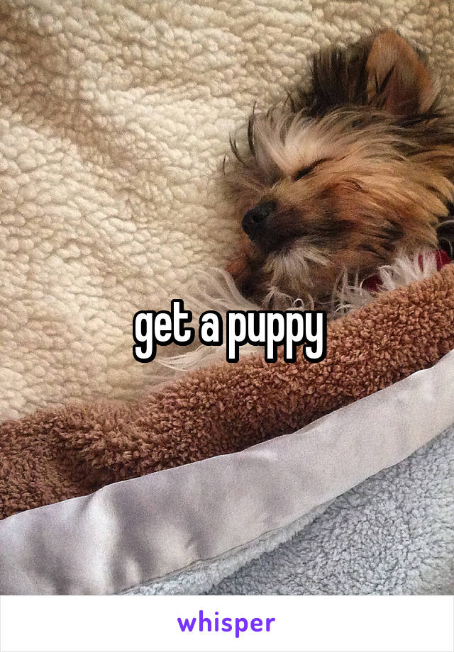get a puppy