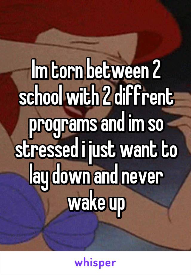 Im torn between 2 school with 2 diffrent programs and im so stressed i just want to lay down and never wake up