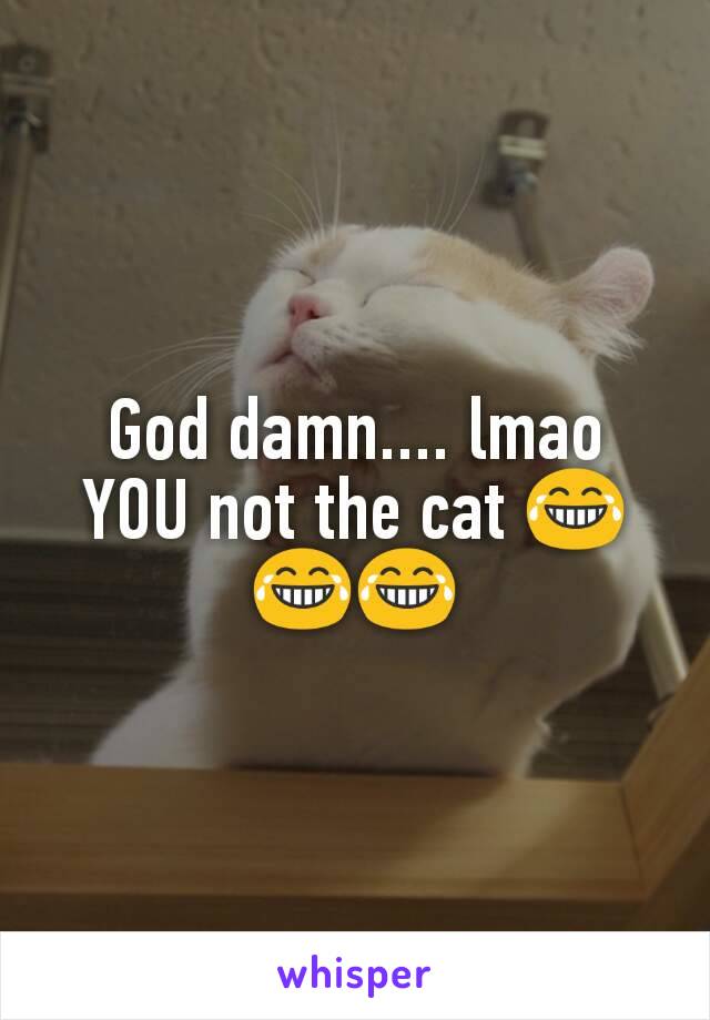 God damn.... lmao YOU not the cat 😂😂😂