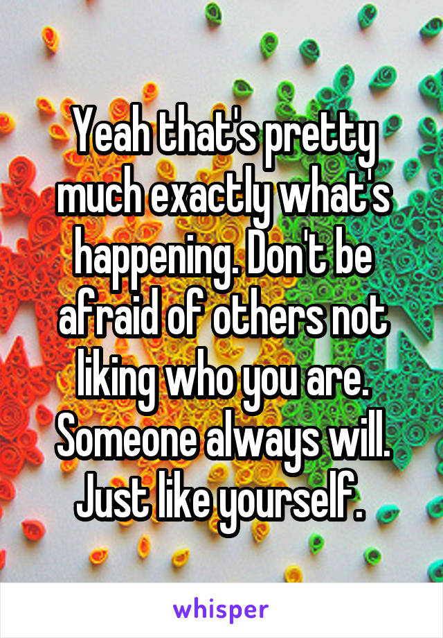 Yeah that's pretty much exactly what's happening. Don't be afraid of others not liking who you are. Someone always will. Just like yourself. 