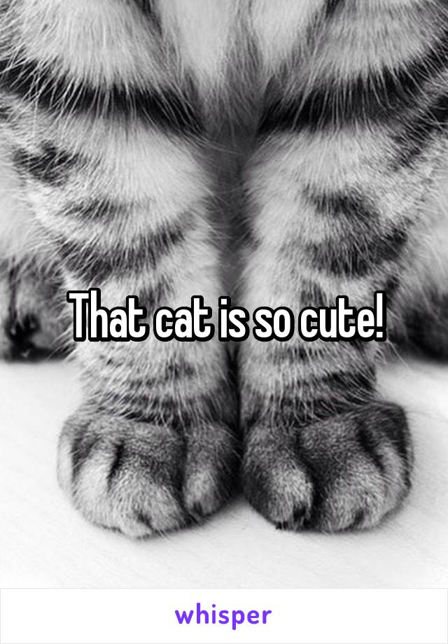 That cat is so cute!